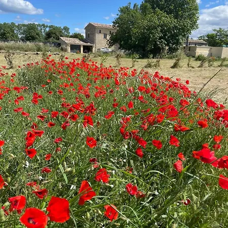 Provencal Stone House In Fully Renovated * Uzès